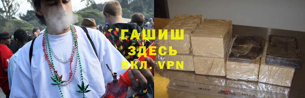 индика Новокубанск