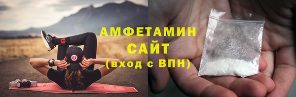 индика Новокубанск