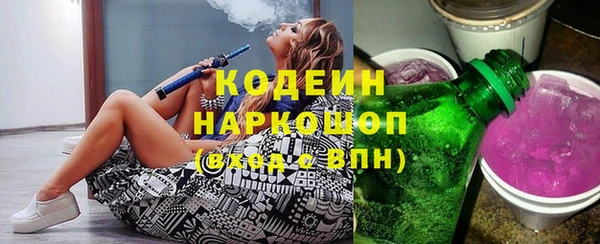 индика Новокубанск