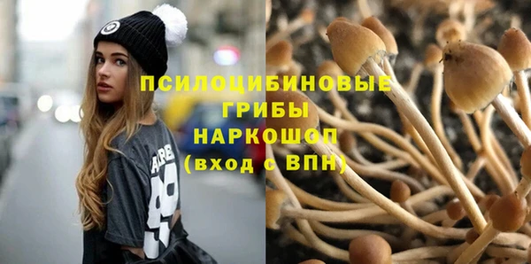 индика Новокубанск