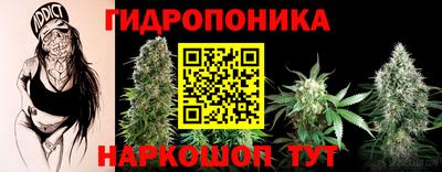 дурь Берёзовский