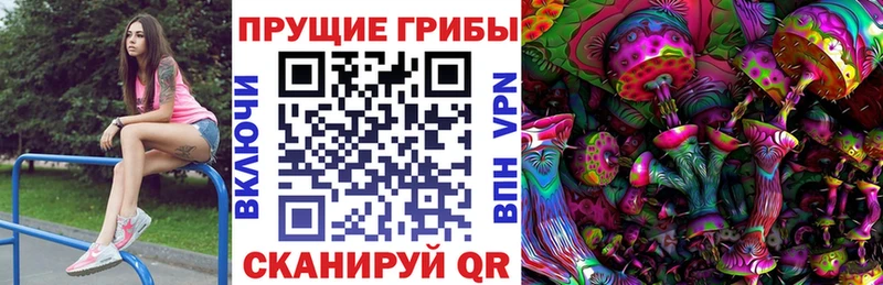blacksprut зеркало Каменка Псилоцибиновые грибы Psilocybine cubensis где можно купить