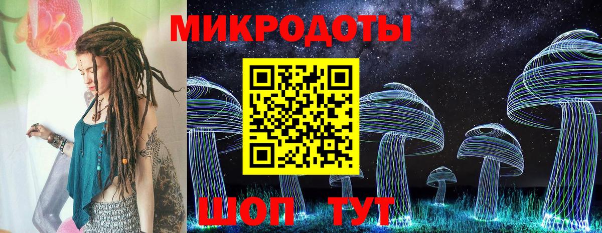 Псилоцибиновые грибы Magic Shrooms  Вход с VPN  Каменка 