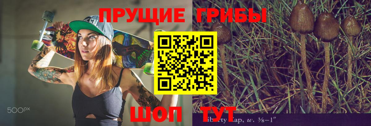 Галлюциногенные грибы Cubensis  Каменка 